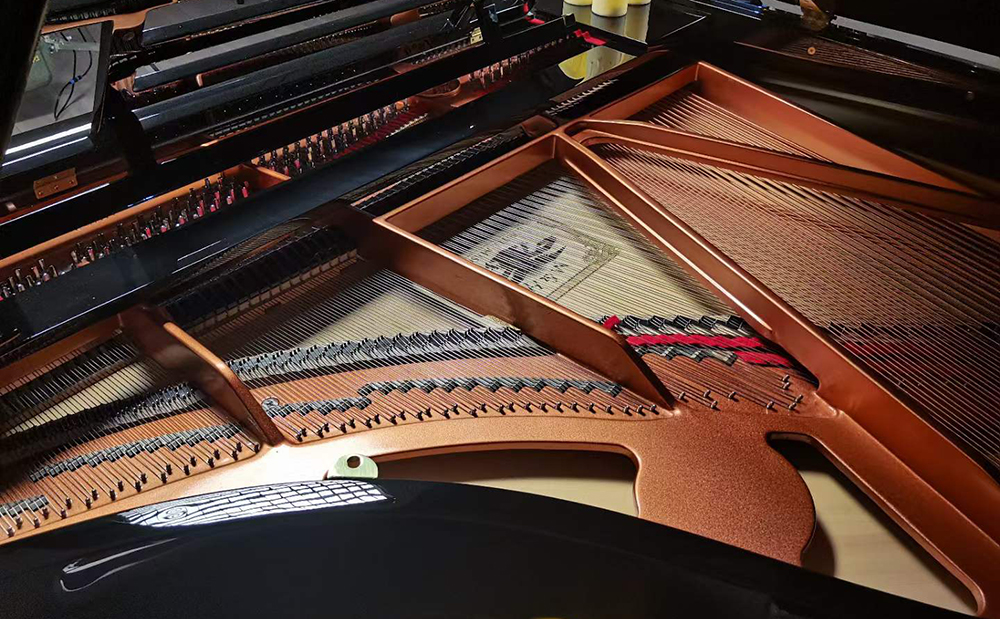 欢迎宋总莅临乐之音琴行，使用梅森汉姆林钢琴录制MV